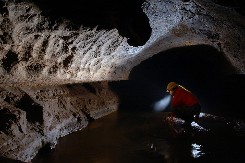 ZASTRAŠUJUĆI PRIZOR U MRAČNOJ PEĆINI IH JE SLEDIO U TRENUTKU Mesto iz noćne more krije nešto što naučnici još nisu videli - ovo je neverovatno