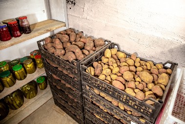 POJAVILA SE JEZIVA SLIKA Bežite od ovakvih krompira kao đavo od tamjana