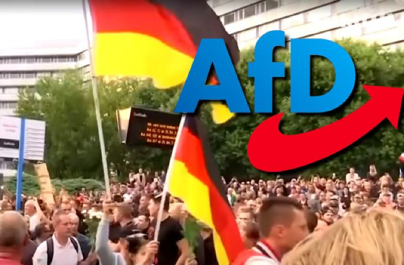 SKANDAL U NEMAČKOJ: AfD-ovac Poljake nazvao "Afroamerikancima Evrope" (FOTO)