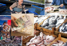 CENE NA ARANĐELOVDAN ZAPANJUJUĆE: Riba i do 1800 dinara, a kupus prelazi 300 dinara - ovo je računica za slavsku trpezu