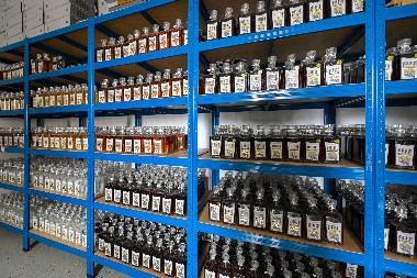 „Dunav osiguranje“ – sigurnost koja raste zajedno s voćnjacima i podrumima