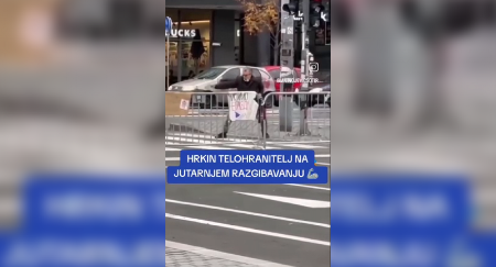 HRKIN TELOHRANITELJ NA JUTARNJEM RAZGIBAVANJU Nasred prelaza se potukao sa vazduhom! Pogledajte šta sve ovaj "nindža" zna (VIDEO)
