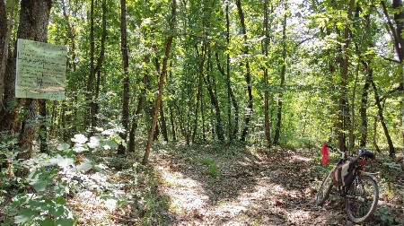 PUSTOŠILI ŠUME U OKOLINI CRNE TRAVE Policija podnela prijave protiv dva muškarca