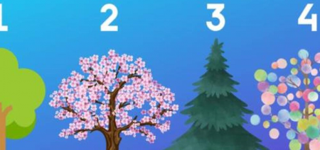 IZABERITE DRVO DA SAZNATE KOM TIPU LIČNOSTI PRIPADATE Otkrijte dublje značenje svog odabira (FOTO)