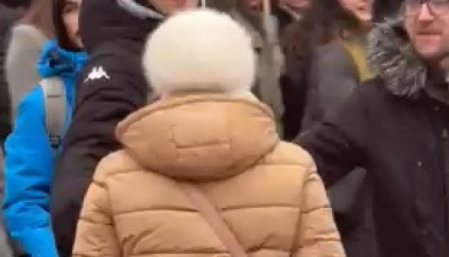 (UZNEMIRUJUĆI VIDEO) DIVLJACI NASRNULI NA NEMOĆNU STARICU Najgrđi incident demonstranata do sada - udaraju i ponižavaju baku nasred ulice Novog Sada!
