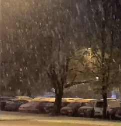 PADA SNEG U BEOGRADU! Zabelela se prestonica (VIDEO)