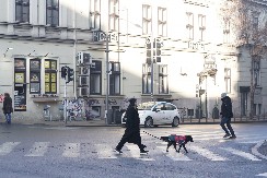 ZIMA BEZ SNEGA?! Meteorolog šokirao Srbiju najavom za decembar, OVO NIKO NIJE OČEKIVAO!