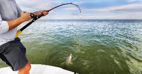 ULOVLJENA NAJOTROVNIJA RIBA NA JADRANU Često se skriva u plićaku i teško zapaža, a njen otrov može da bude smrtonosan