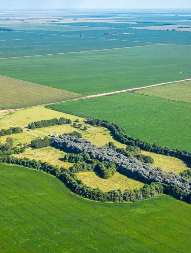 DIRLJIV PRIZOR Gest koji je ovaj muž napravio zbog svoje pokojne supruge tera suze na oči (FOTO)