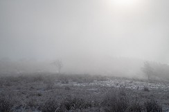 POPALJENI ALARMI U CELOJ SRBIJI "Vreme može biti opasno" RHMZ objavio šta nas tačno danas čeka