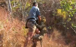 MOTORNA TESTERA NA TUFNE Oči u oči sa leopardom, puška ne pomaže, kad ga je ugrizao za ruku pozdravio se sa životom! (VIDEO)