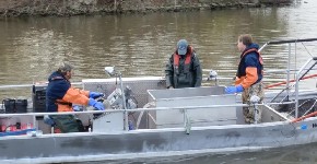 OTKRIVEN MONSTRUM U JEZERU Jezivo ljigavo stvorenje sa 24 oka isplivalo na površinu - OVO DO SADA NIJE VIĐENO NA SVETU! (VIDEO)