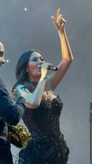 CECA PREKINULA KONCERT I DIREKTNO SE OBRATILA NJOJ! Zbog žene iz publike je sve stalo, evo šta joj je Ražnatovićeva poručila