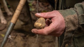 UBIO BRAĆU ZBOG TARTUFA, PA PUŠTEN IZ PRITVORA! Dejan pucao u Predraga i Stanislava