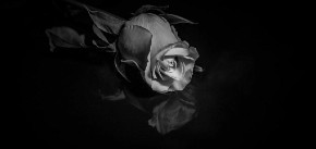 "NEKA POČIVA U MIRU", OGLASILA SE ŠKOLA UČENIKA (15) KOJI JE UMRO U GARAŽI U SUBOTICI Slušao muziku u upaljenom automobilu?