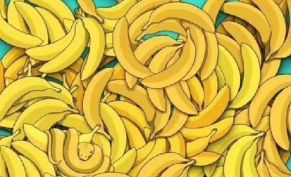 IMATE LI OKO SOKOLOVO? Samo 1% ljudi pronađe skrivenu životinju među bananama - da li ste i vi među njima?