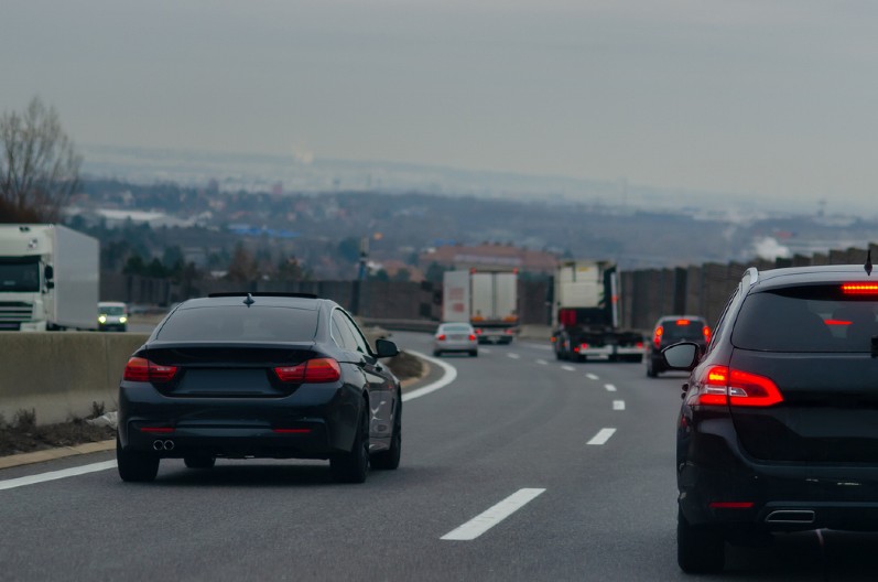 NEVEROVATNA SCENA NA AUTO - PUTU Desetorica muškaraca se borila sa divljom grdosijom teškom 300 kilograma  - nikome nije bilo jasno kako se tu našla