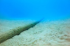 Rat na dnu mora – ranjivost od koje svet zavisi