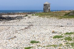 ŠTA JE OVO MORE IZBACILO NA OBALU? Zastrašujući prizor šokirao lokalno stanovništvo - evo šta su zatekli na maloj plaži