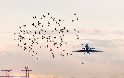 HOLANDSKI BORBENI AVIONI PRESRELI NEPOZNATI OBJEKAT Haos na nebu, evo o čemu je reč