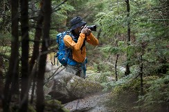 VREBAO JE U ŠUMI GODINAMA, I KONAČNO USPEO DA GA SNIMI Retka fotografija "belog duha" obišla je planetu - "Nisam mogao da verujem šta vidim"