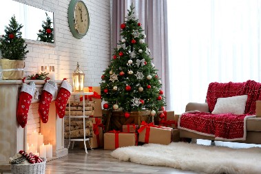 GDE STAVITI JELKU DA PRIVUČE NOVAC Ovo je najbolje mesto u kući za sreću i napredak!