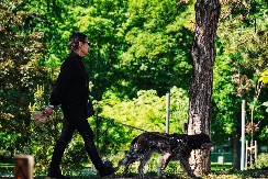 PROLEĆE USRED DECEMBRA Ujutru slab mraz, a onda sunce i rast temperature