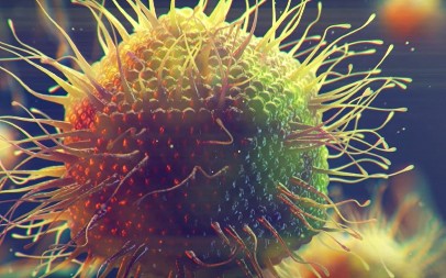 "VIRUS SE BRZO ŠIRI" Evropska zemlja proglasila vanrednu situaciju! "ODSTREL JE JEDINO REŠENJE"