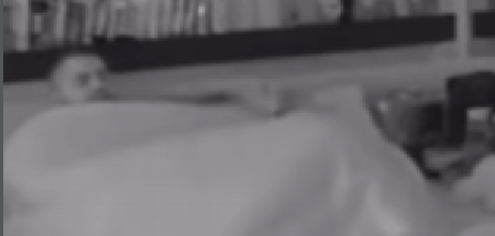 ASMIN SINOĆ IŠAO OD JEDNE DO DRUGE Nakon Sandre i Aneli oralno ga zadovoljila i Miljana Kulić! (VIDEO)