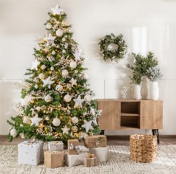 NEKA VAM JELKA BUDE BOLJA OD KOMŠIJINE Postavite je na pravo mesto i privući ćete sreću i bogatstvo