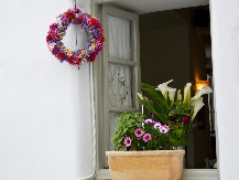 POSTAVILA JE KARANFILIĆ NA SVA VRATA U KUĆI Preko noći rešila problem koji je godinama trajao