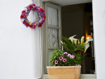 POSTAVILA JE KARANFILIĆ NA SVA VRATA U KUĆI Preko noći rešila problem koji je godinama trajao