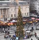 "SMEŠNA JE, IZGLEDA KAO MRTVI KAKTUS"  Novogodišnja jelka u Londonu izazvala buru komentara na mrežama - ljudi su baš razočarani