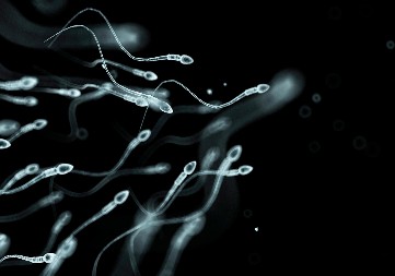 SKANDAL KOJI TRESE EVROPU: Donor preneo gen za rak na 197 dece – mutirana sperma stigla i u Srbiju!