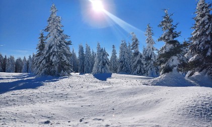 Srpska planina o kojoj svi pričaju – netaknuta priroda, cene od 30 evra i prava bajka zimi