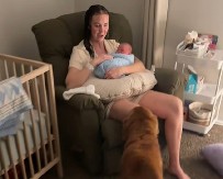 SUZE, ŠOK I SREĆA: Pogledajte psa koji prvi put vidi bebu – reakcija koja ODUŠEVLJAVA MILIONE! (VIDEO)