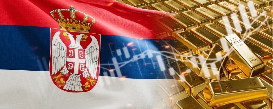 VUČIĆ OTKRIO JEDINU PRAVU ISTINU O DEVIZNIM REZERVAMA DRŽAVE SRBIJE Ovo treba da pročitaju svi građani