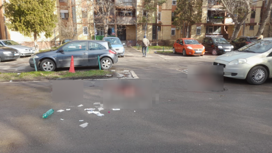 POLICAJAC NA SUĐENJU OTKRIO DA MU JE BOŠKO SVE PRIZNAO "Rekao mi je zašto je ubio Nikolu"