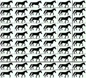 IMATE LI OKO SOKOLOVO?! Pronađite konja bez repa pre nego što vreme istekne – samo NAJBRŽI uspevaju!