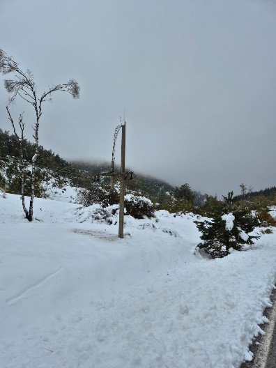 ZATVARAJU SE ŠKOLE, LJUDI SPREMAJU ZALIHE U Evropi je OPŠTA PANIKA zbog hladnoće koja stiže u Srbiju