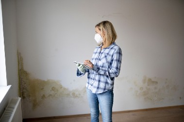 REŠITE SE VLAGE I BUĐI OČAS POSLA Tajna je samo u jednom prahu, a svi se kunu da je najefikasniji upijač vode