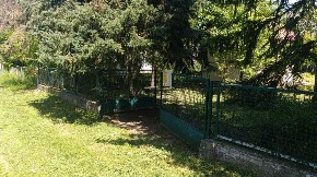 Oaza nadomak Beograda za 28.000 evra: Ivanina kuća na Savi zainteresovaće mnoge (FOTO)