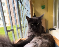 ON JE BAŠ LJUT Pogledajte samo tu facu - ljudi na mrežama plaču od smeha