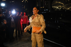 CECA MU JE PRUŽILA SVE, A ON NIJE DOšAO NA SLAVU Ovo je pravi razlog zbog koga nije kročio u vilu na Dedinju