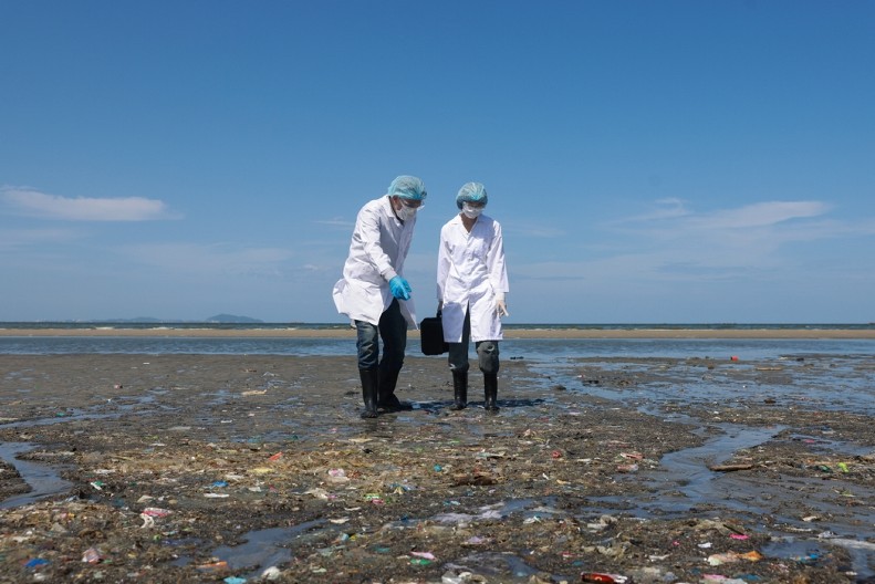 JEZIVO STVORENJE IZ DUBINA ISPLIVALO NA OBALU Morska neman sa ogromnim čeljustima se nasukala na plaži - FOTOGRAFIJE ZGROZILE JAVNOST!