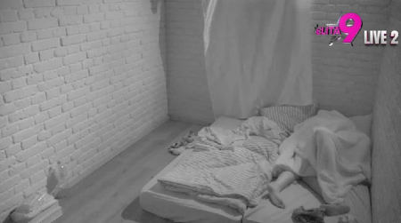 DIVLJAČKA AKCIJA ANITE I LUKE Tresu se zidovi izolacije, učesnici ne mare za kamere