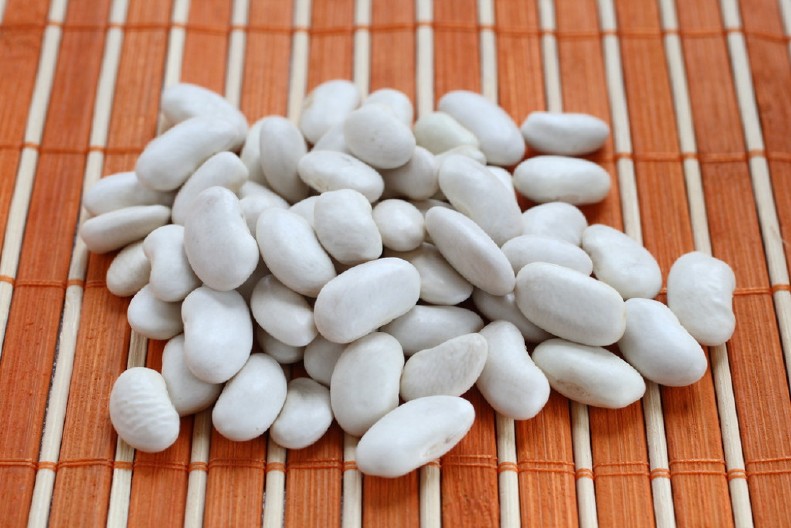 OBIČAN PASULJ JE NAJOTROVNIJA BILJKA U 2025. GODINI Nećete imati problema samo ako ga kuvate na ovaj način