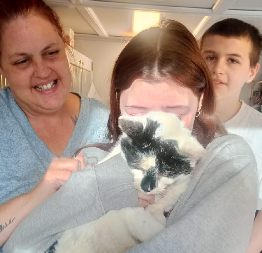 PRED PRAZNIKE STIGLA NAJLEPŠA VEST Porodica posle šest godina potrage pronašla mačka Feliksa (FOTO)