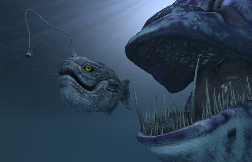 POJAVILO SE JEZIVO MORSKO STVORENJE NA OBALI, MEŠTANI U STRAHU Nije viđena godinama, a veruje se da najavljuje pakao! (VIDEO)