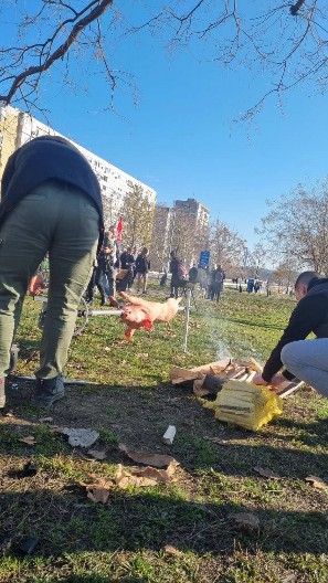 STUDENTI ODALI POČAST NASTRADALIMA U NOVOM SADU - UZ PRASE NA RAŽNJU! (FOTO)